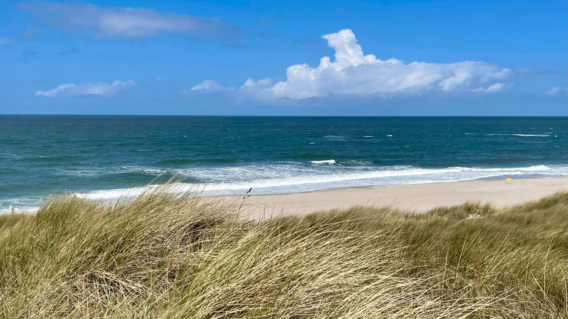 Presse Weesterlön Verlag