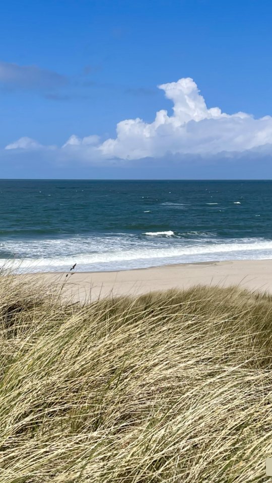 Einfach nur mal MEER …