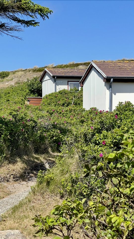 I  ❤️ Klappholttal