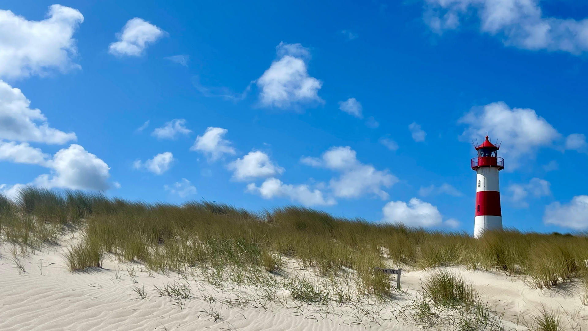 Sylt